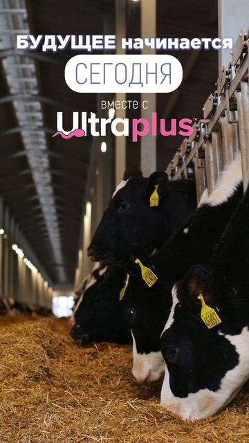🌟 Ultraplus® — Ваш ключ к успеху 🌟