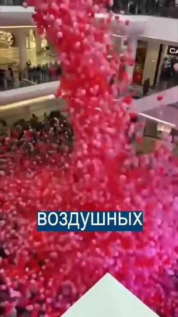 20 августа 2024 г.