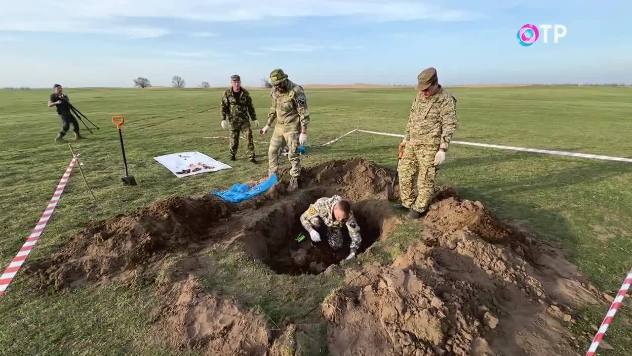 Поля памяти.  История о памяти и о поиске, о поиске тех, кого уже давно нет