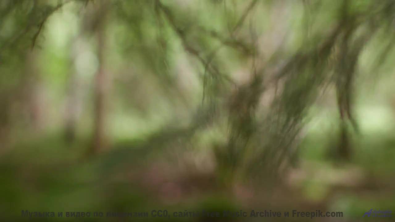 Кадры, которые заставят вас усомниться в реальности! - Smile from the Mirror -- Crowander -- Commerc