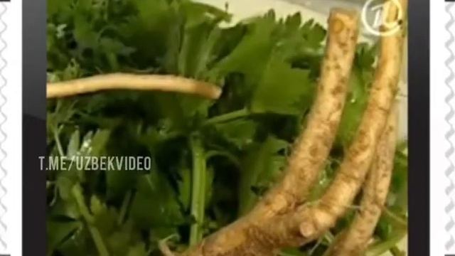 Профессор Николай Дроздов хрен хакида