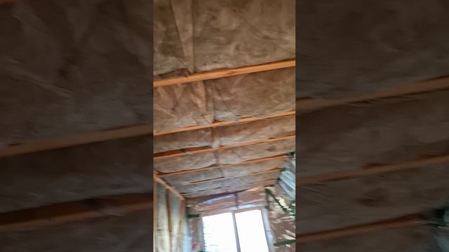 1000023769.mp4 (Собака наблюдает за утеплением нового дома А-фрейм)