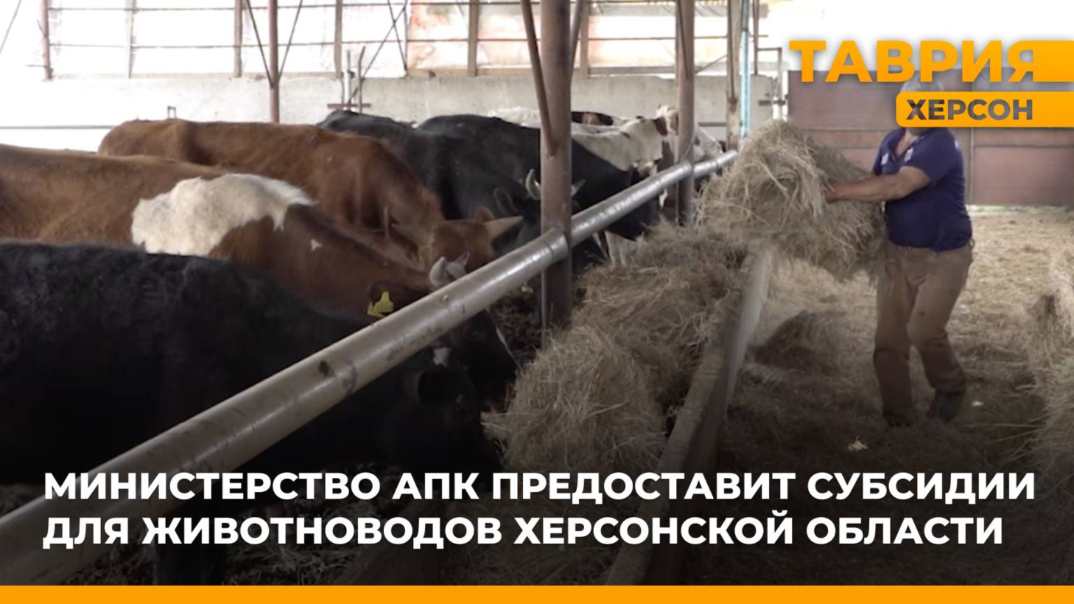 Министерство АПК предоставит субсидии для животноводов Херсонской области