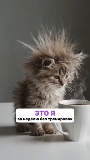 Ну как можно жить без спорта?