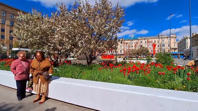 Станция метро Маяковская.Гуляем в сквере и любуемся праздничной атмосферой-8.05.2025 год.