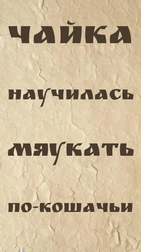 Чайка научилась мяукать по-кошачьи