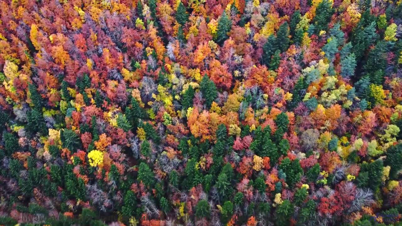 Музыка пробирает сильнее, чем закат над горами - Song 4 -- G. H. Everetts -- looks at mountains