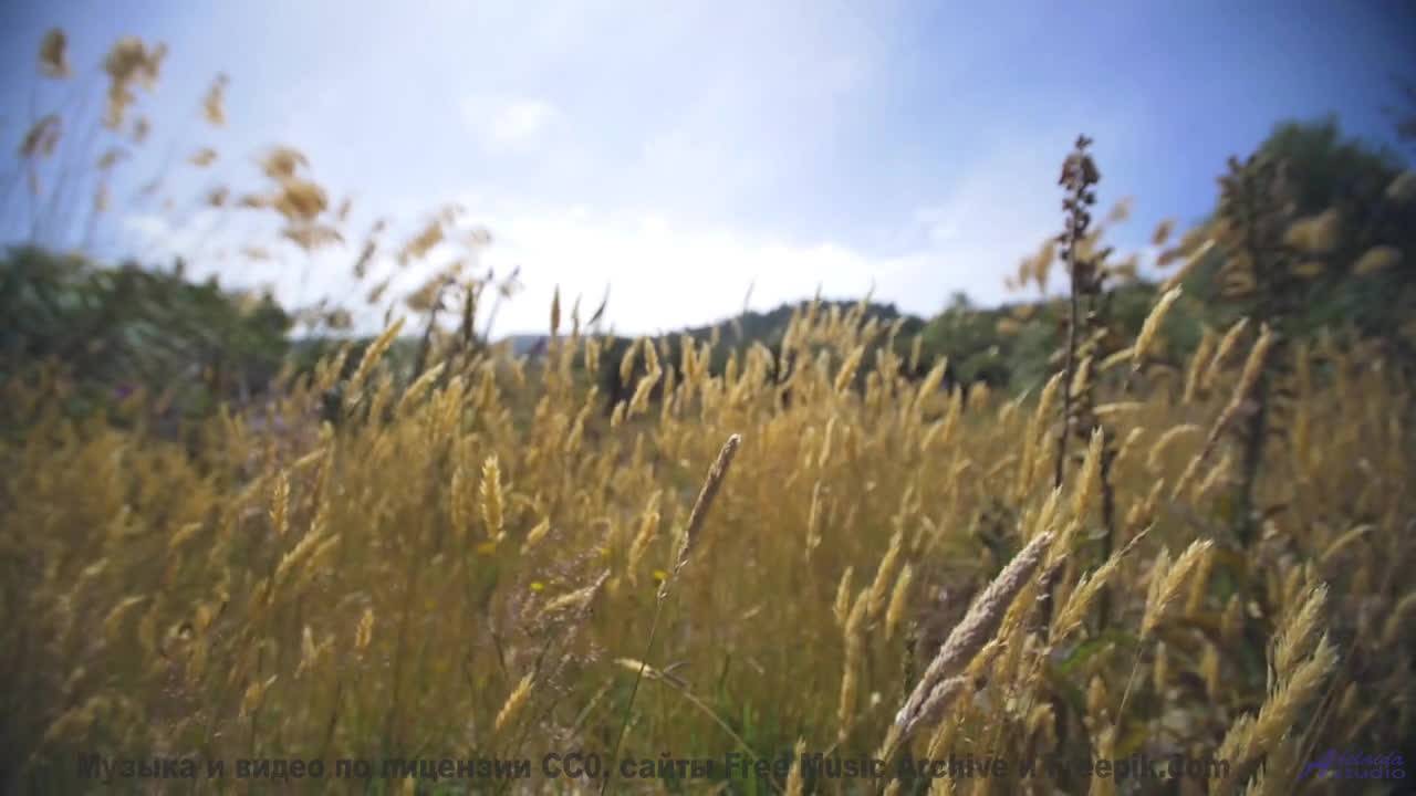 Закат, который звучит так сладко! - Moving Forward -- Scott Holmes Music -- Music for TV + Film Vol.