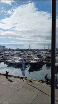 Дельфин и русалка