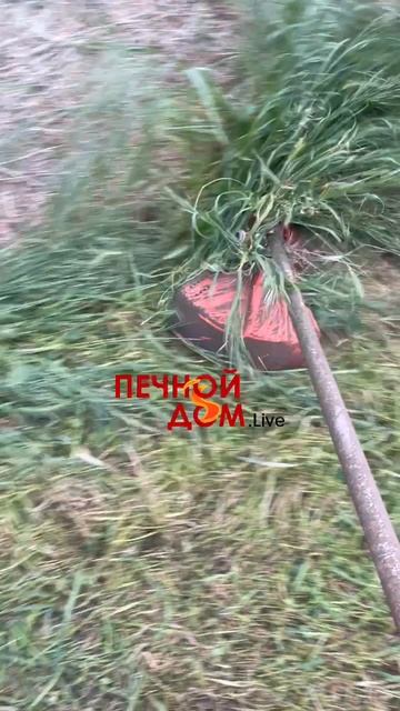 Диск с плавающими ножами для триммера на тесте. 15-05-2025