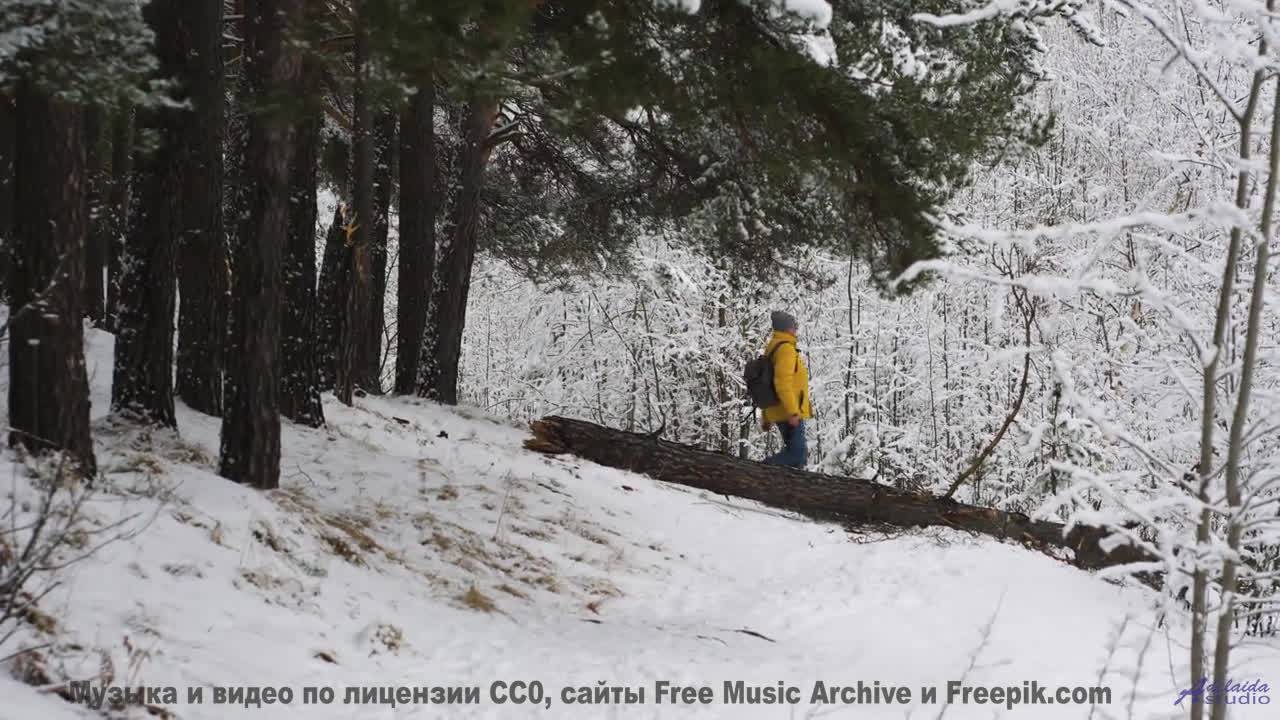 Расслабьтесь. Вдохните. Позвольте музыке унести вас! - DJ Millenium -- New Millennium String Band --