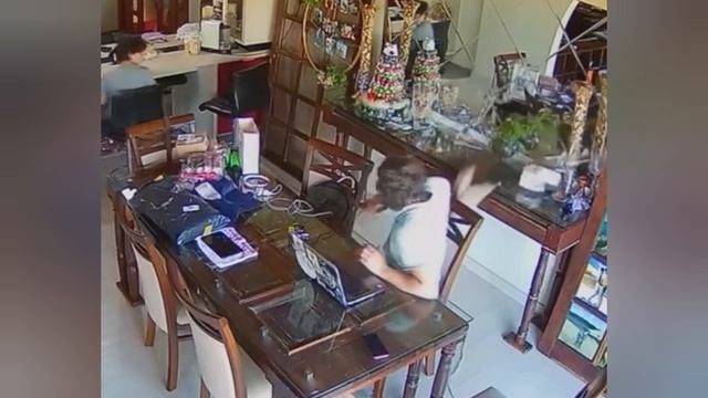 Запись котов с видеокамер.
