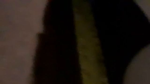 Чертковский пост