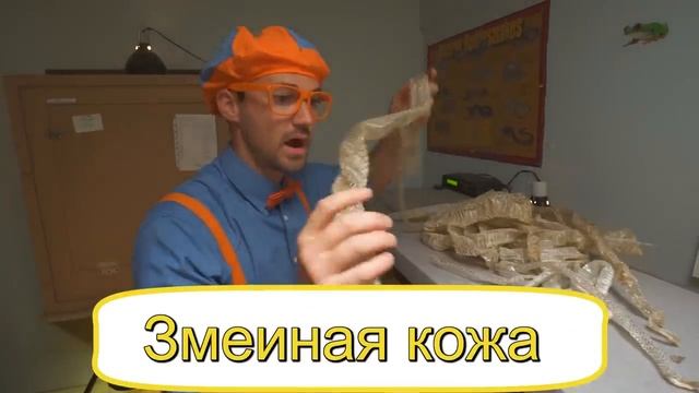 Блиппи (Blippi) -Блиппи на строительной площадке   Изучай этот мир вместе с Блиппи   Обучающие видео