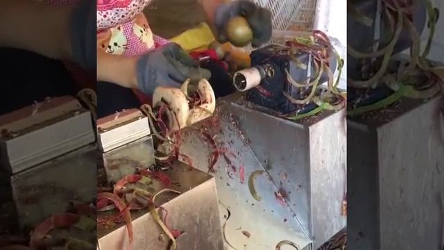 Полуавтоматическая машина для очистки фруктов от кожуры Vega Apl Pel H400 Manual