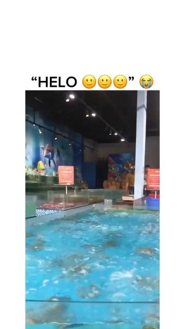 Hehe 😂 😂 😂 😂 #nature #trending #video #trevel