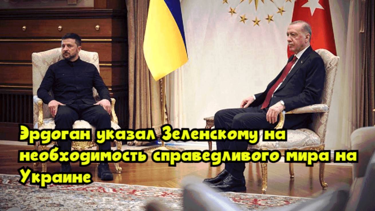 Эрдоган указал Зеленскому на необходимость справедливого мира на Украине