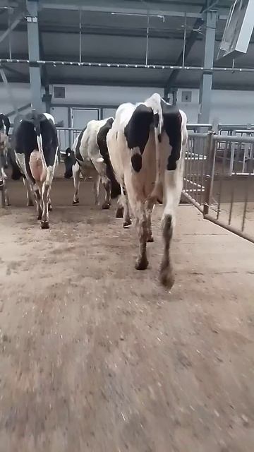 на работе