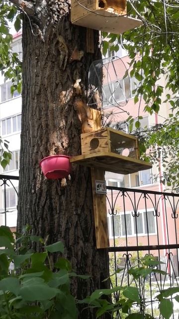 Кормушка для белочек 🙂