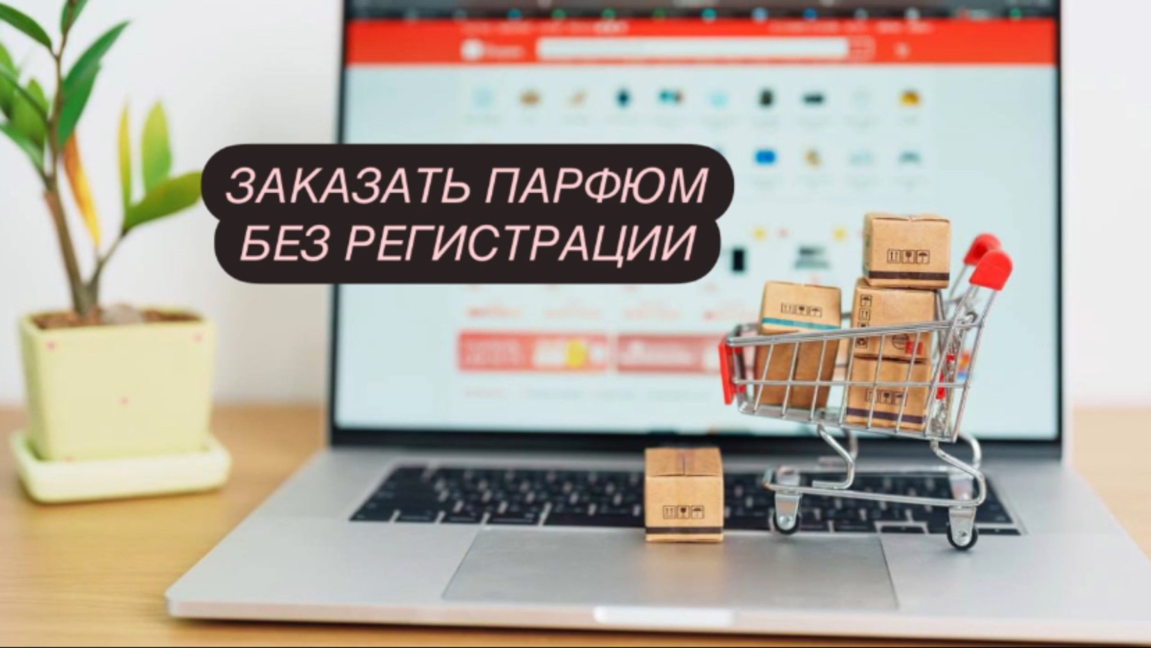 ЗАКАЗАТЬ ПАРФЮМ БЕЗ РЕГИСТРАЦИИ