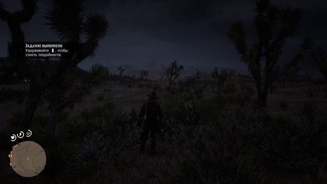 Red Dead Redemption 2: Мультиплеер кооп