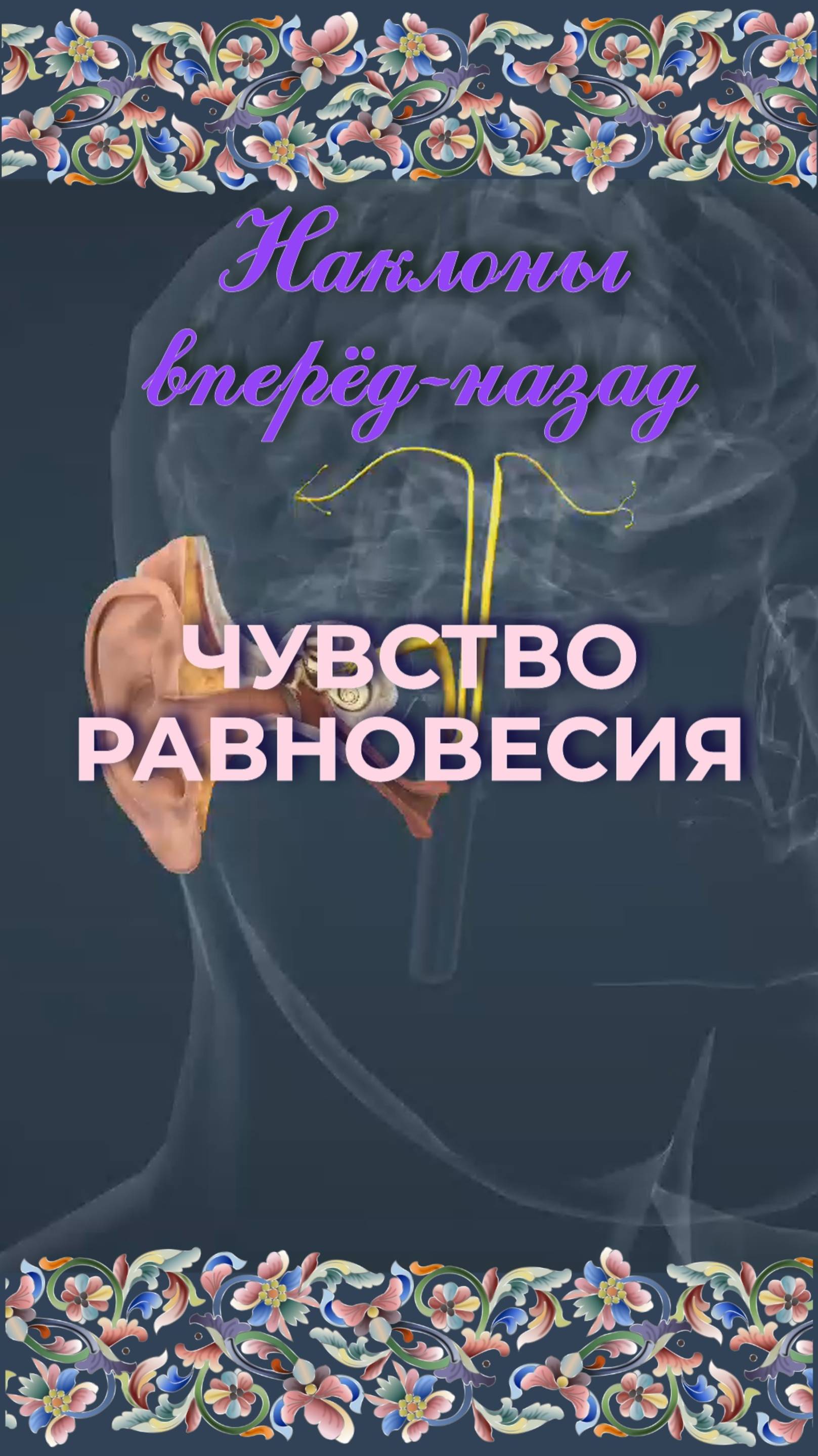 Чувство равновесия
Вестибулярная система - Функционирование полукружных каналов. Наклоны головы