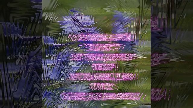 1000024002.mp4