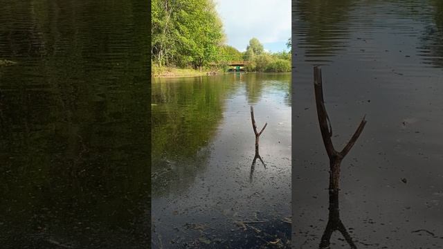 рыбалка,природа и красота