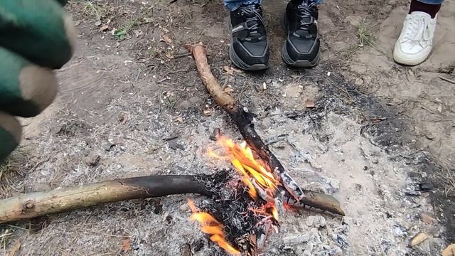 беседы у костра