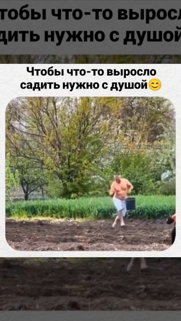 Пока всю землю не утромбует