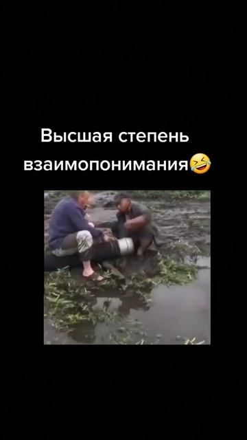 Нашли общий язык