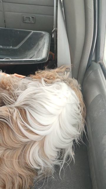 Зачем же он такой прочный, ваш ремень безопасности?