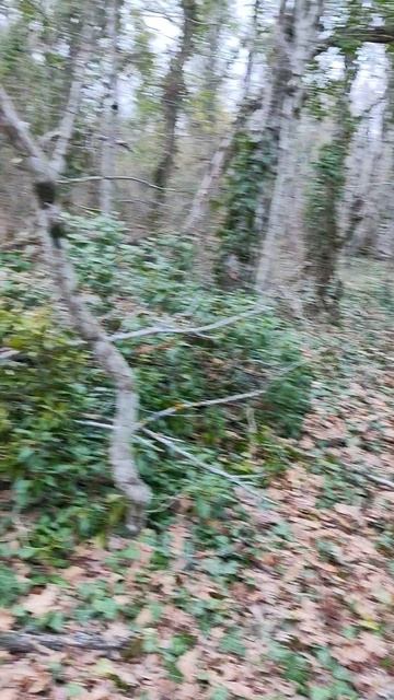 гнилое кресло и бог маркетинга #новороссийск #поход