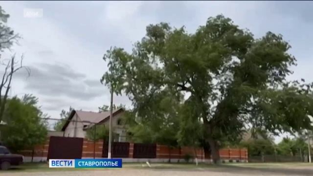 На Ставрополье ожидаются ливни с грозами