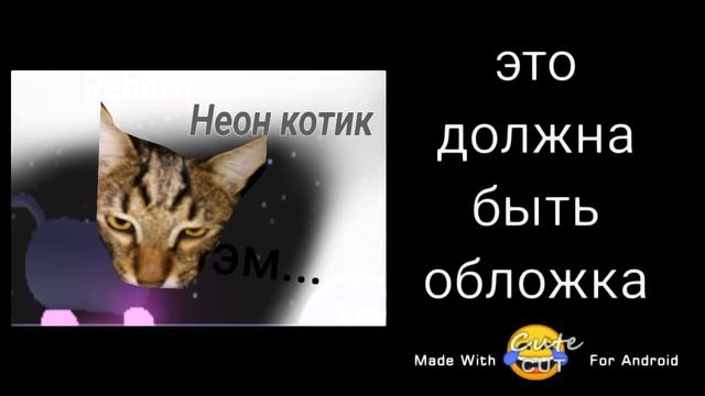 самые смешные фото моего кота 😂