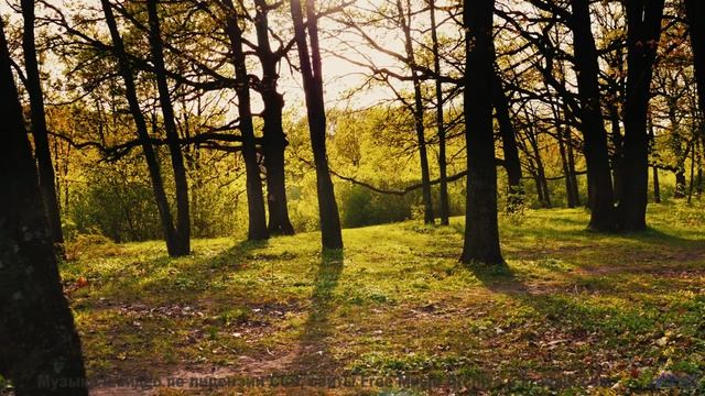 Пейзажи под этот саундтрек проникают в самую суть - New Lands -- Independent Music Licensing Collect
