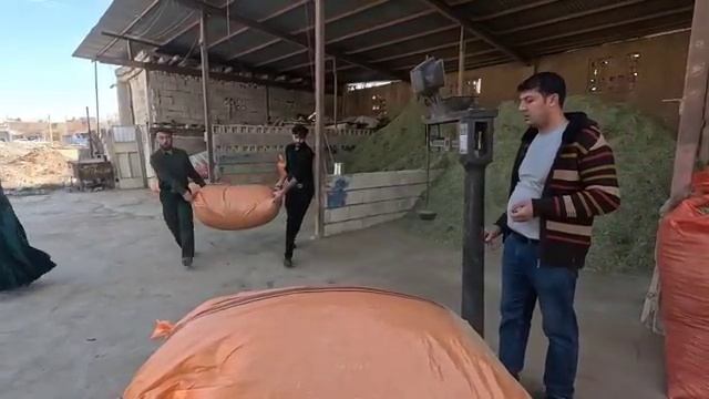 🪁Счастье Хамида и Сами в городе игр и покупка необходимых припасов от Тайябы