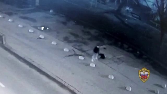 Два дебошира задержаны столичной полицией за грабёж, хулиганство и причинение вреда здоровью