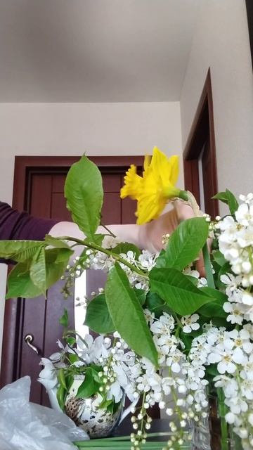 Весенний букетик ☀ из ирисов и черемухи 💮