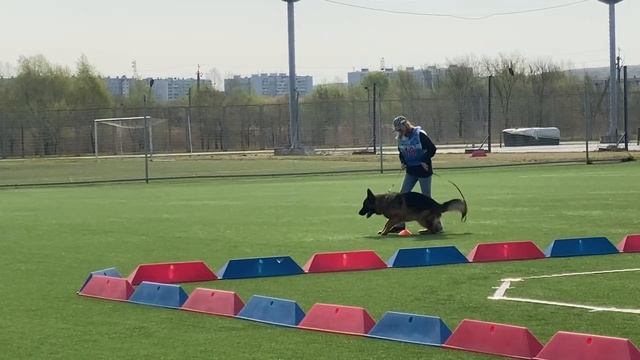 Пасифик Рим Деймон