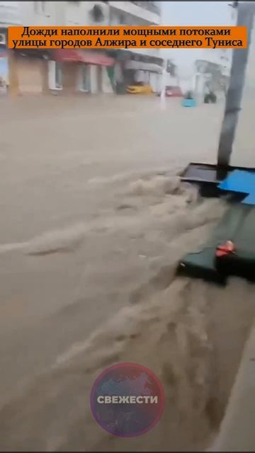 Дожди наполнили мощными потоками улицы городов Алжира и соседнего Туниса
