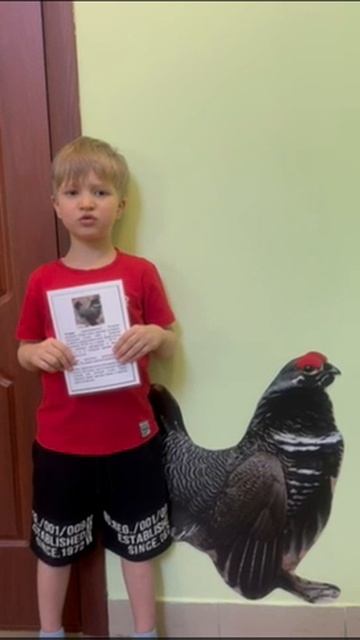 тетерев