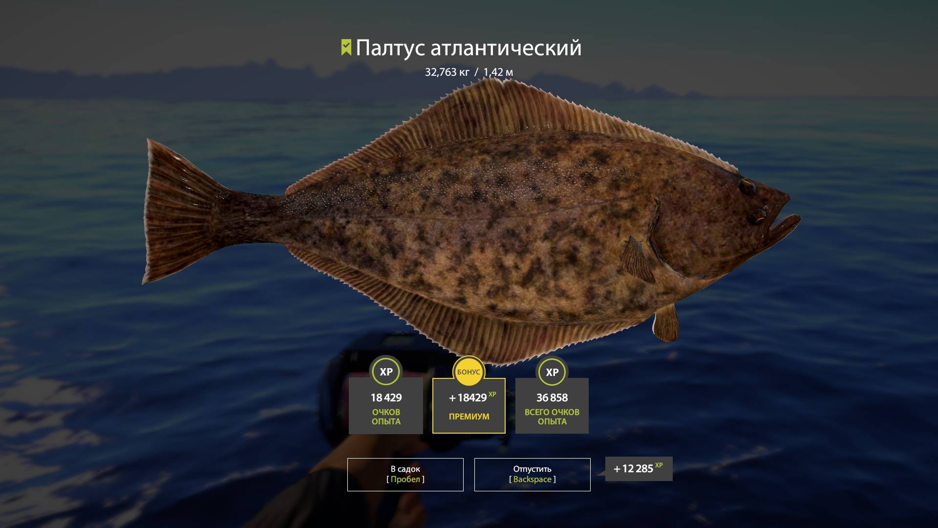 Русская рыбалка 4. Норвежское море. Борьба с крупным палтусом.