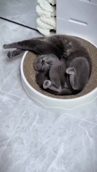 Я в отпуске😂