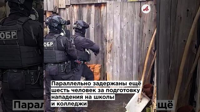 Украина готовила теракты в школах: ФСБ задержала 57 администраторов Telegram-каналов