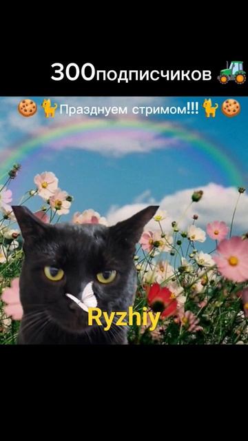 Стрим в честь 300сабов!!!🍪🤫 #games #стандофф2 #standoff2 #cat #memes #кот