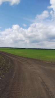 Красота полей 🚜🌾🌾🌾