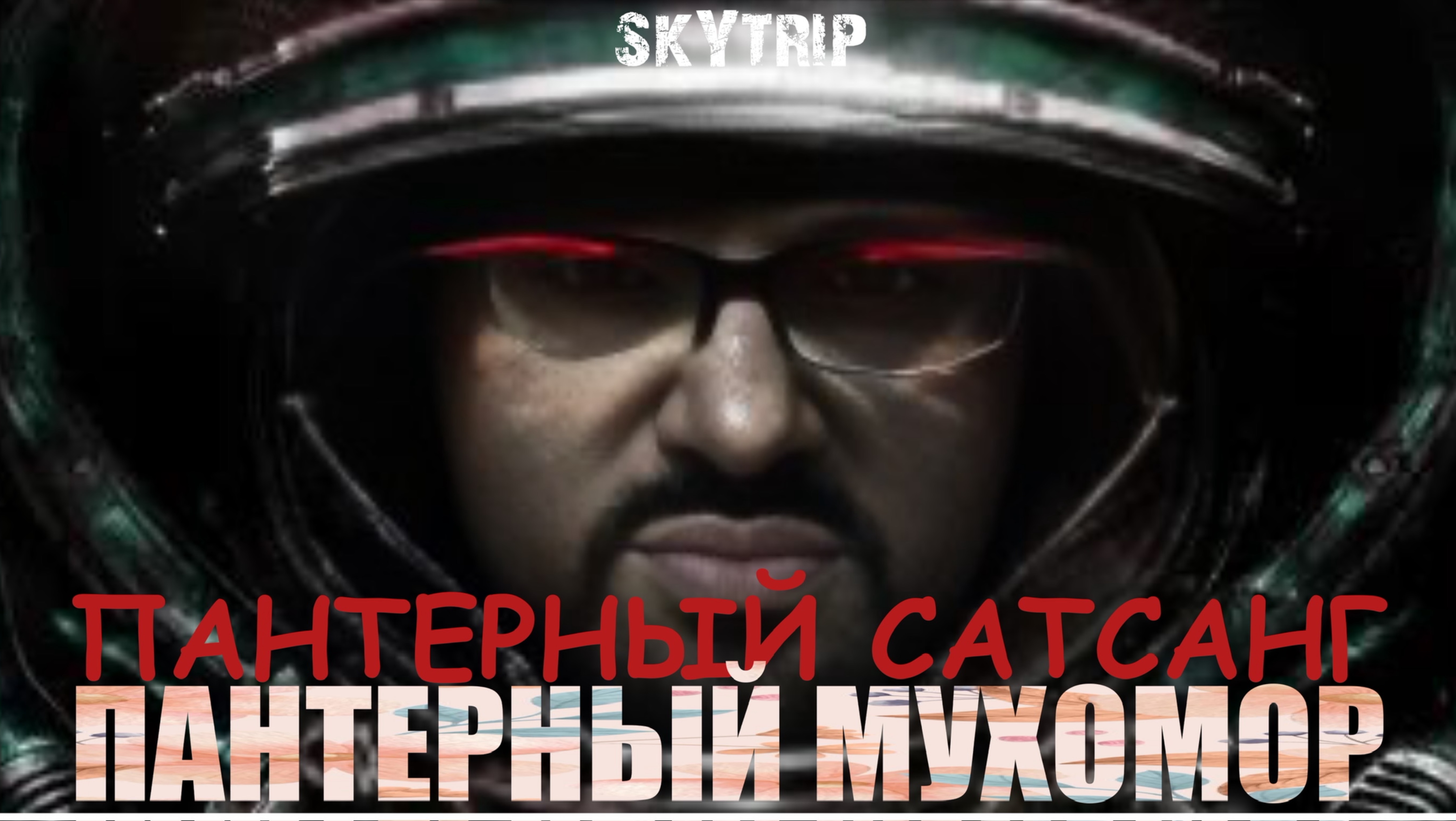 Школа Героизма | Пантерный мухомор | пантерный сатсанг | Evgeniyskytip