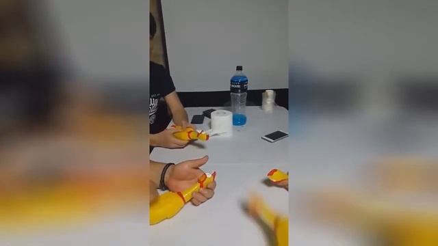 Музыка на резиновых курицах. Music on rubber chicken. SHAKE IT! TOP COUB