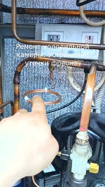 Ремонт холодильной камеры  Устранение утечки фреона
